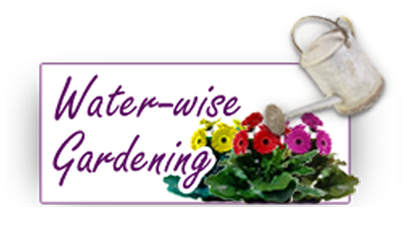 Water Wise Gardening