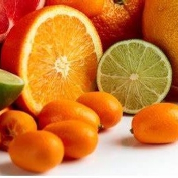 All Varieties - ALL CITRUS