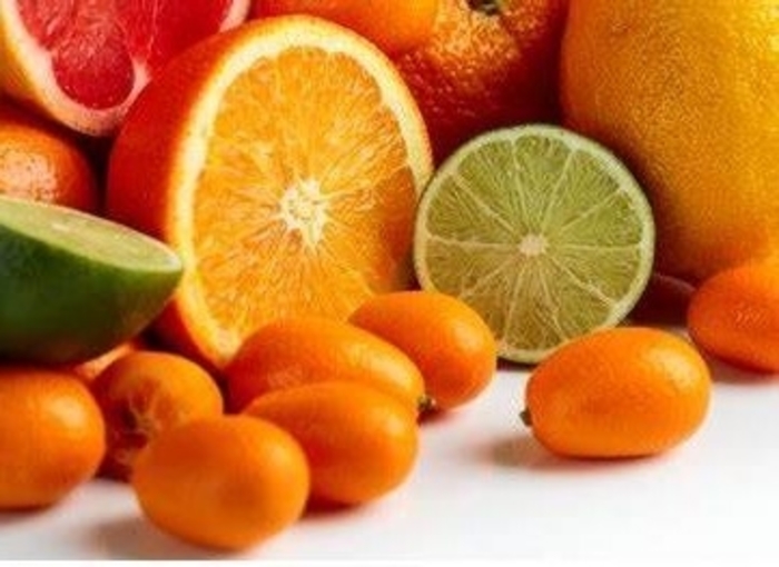 ALL CITRUS - All Varieties from Sunshine Grower Nursery
