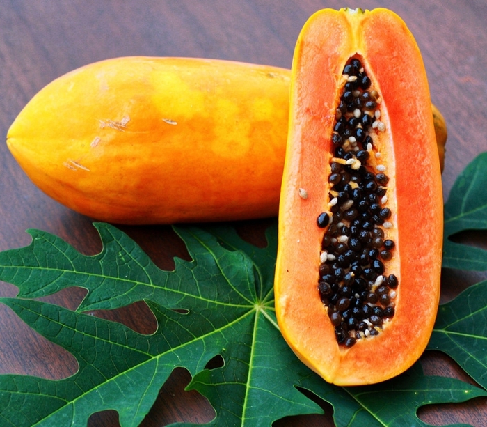 Papaya - Carica papaya from Sunshine Grower Nursery